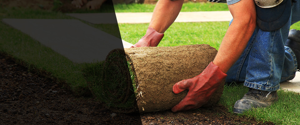 Florissant Landscapers